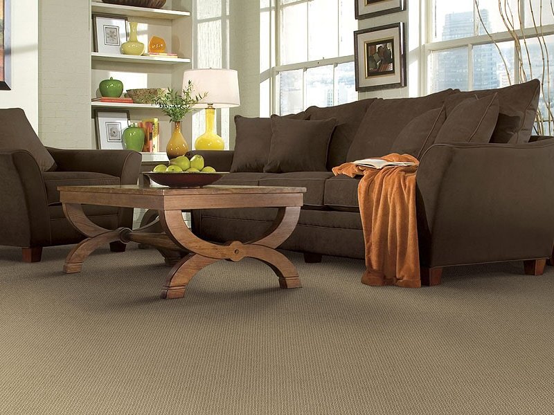 Warm carpet in living room - quality carpet product choices at Richmond Carpet